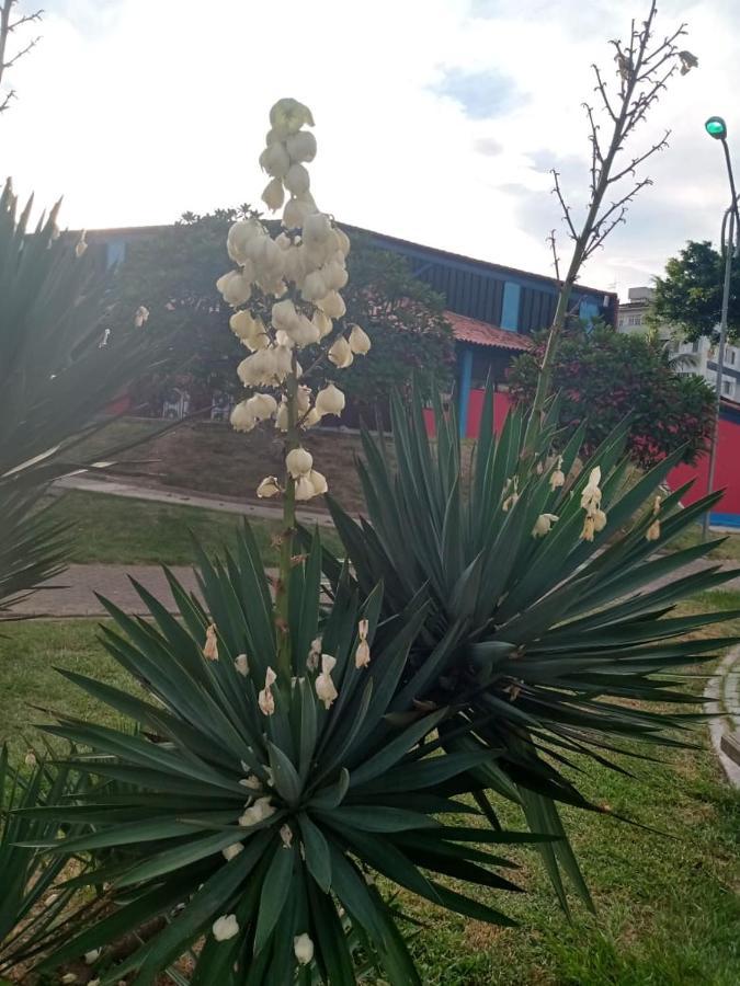 Apartamento Mobiliado 10 Minutos Da Praia Do Forte Cabo Frio Zewnętrze zdjęcie